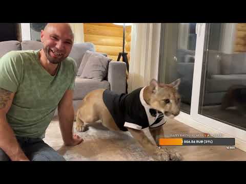 Видео: Прямой эфир. Пуме Месси 10 лет!