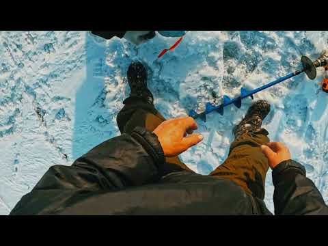 Видео: 26 января 2025 г. ҚОНАЕВ - ҚАПШАҒАЙ рыбалка, судаки  ШЕНГЕЛДІ насосные.