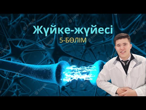 Видео: ОЖЖ қозу өту ерекшеліктері.