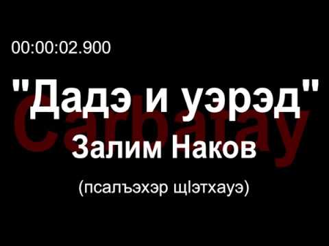 Видео: Адыгэ уэрэд | Залим Наков @Nak.Z - Дадэ и уэрэд (с текстом) | Кабардинские песни