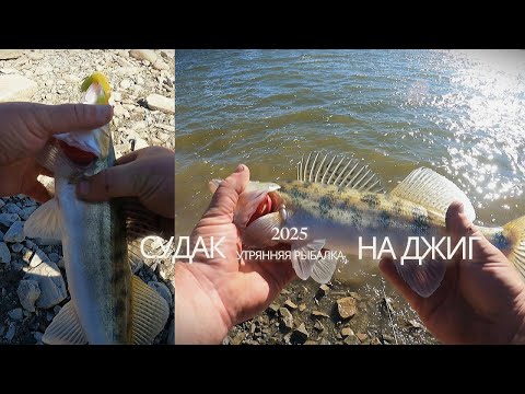 Видео: Утренний выезд за СУДАКОМ
