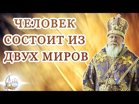 Видео: Человек состоит из двух миров