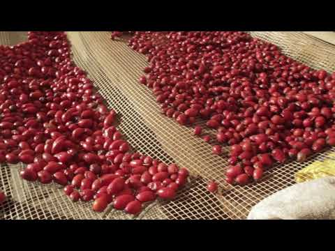 Видео: "Животът на село":  Хайдушка песен ОТБЛИЗО