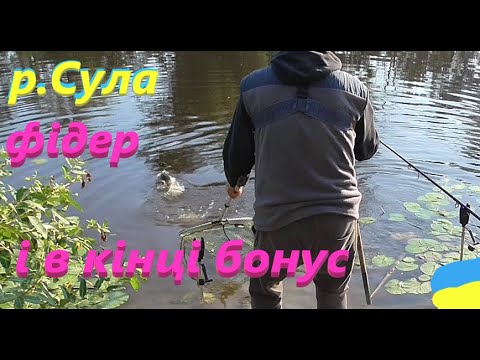 Видео: #Сула # ловив білу # а впіймав #РибачуЯкУмію