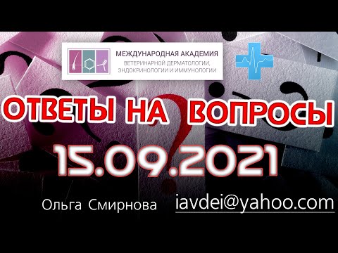 Видео: Ответы на вопросы. 15.09.2021