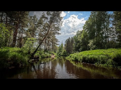 Видео: Река Гусь сплав на сапбордах