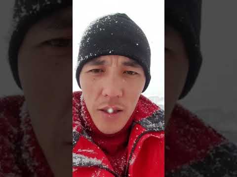 Видео: Оштуктар Сарт Эмес.