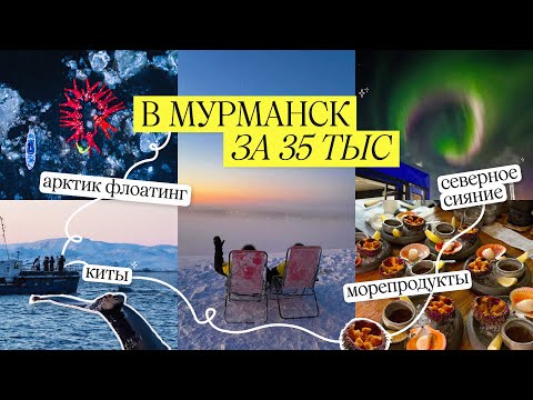 Видео: МУРМАНСК: северное сияние,  киты,  Териберка