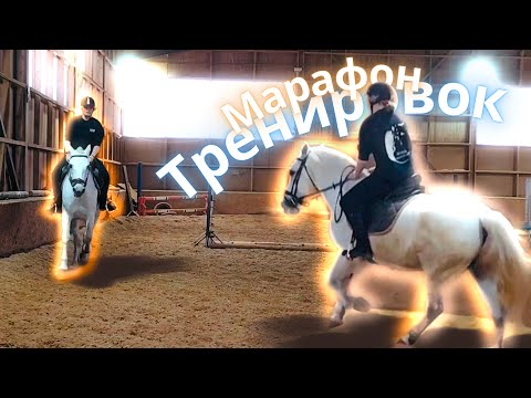Видео: Марафон тренировок в кск «Возрождение»