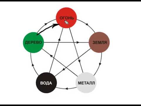 Видео: Доступный Бацзы#8 - проблемы с желудком