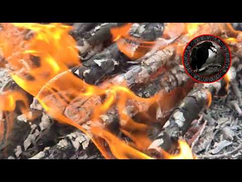 Видео: Жизнь Запасная ... 