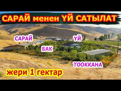 Видео: Эээ туугандар! Мындайды КӨРӨЛЕКСИЗ! Даяр мал САРАЙ менен ҮЙ сатылат