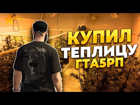 Видео: КУПИЛ ТЕПЛИЦУ НА ГТА 5 РП, ЗАРАБОТАЛ НА ТРАВЕ, PROMO - TAXI