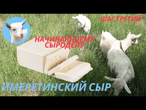 Видео: Сыр из козьего молока Имеретинский сыр