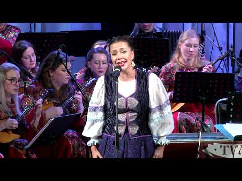 Видео: Русская народная песня «Сидел ворон»