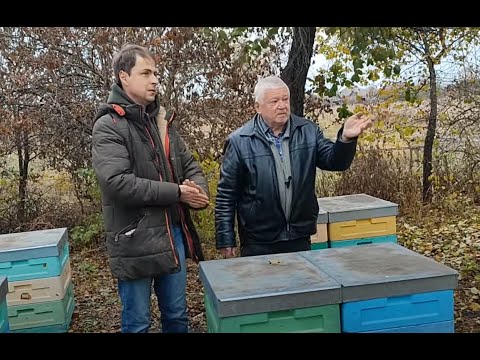 Видео: Вентиляция улья зимой. Какое утепление лучше?