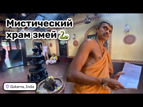 Видео: 🐍 82. Гокарна. Мистический храм змей, в котором исполняются желания. Передала послания от зрителей.