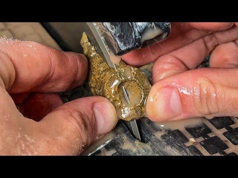 Видео: Красивый агатизированный роговой коралл, огранённый и отполированный | Гранильный