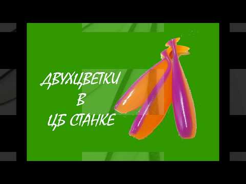 Видео: Двухцветки в ЦБ