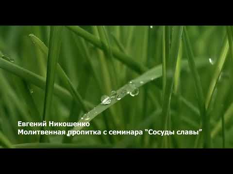 Видео: Молитвенная пропитка 4 - Евгений Никошенко (с семинара Сосуды славы)