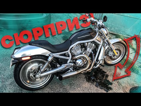 Видео: Harley-Davidson с аукциона Copart: V-Rod подкидывает работенку