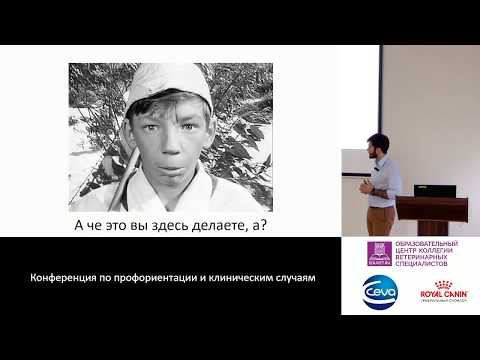 Видео: 2 - Негинский Д. О. - Мягкотканная хирургия