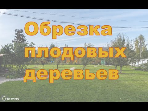 Видео: Обрезка плодовых деревьев