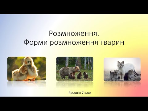 Видео: Біологія. Тварини. Розмноження тварин та його значення. Гермафродити. Партеногенез