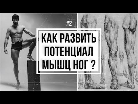 Видео: ТРЕНИРОВКА НОГ | МИТОХОНДРИИ | ЧАСТЬ 2