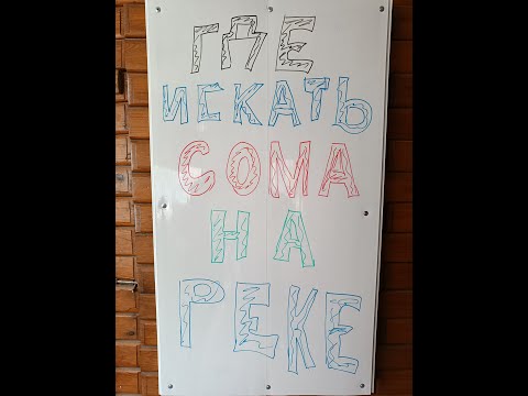 Видео: Школа Квочатника \ Где искать СОМА на реке \ РОЗЫГРЫШИ \ #квок #самодельныеприманки #сом #сомнаквок