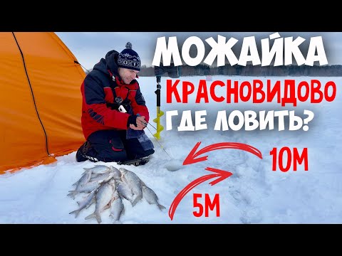 Видео: МОЖАЙКА. ДЫРКА ГЛУБЖЕ - РЫБА ТОЛЩЕ?