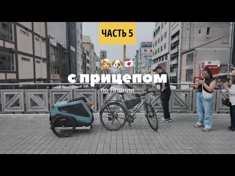 Видео: ВЕЛОТУР ПО ЯПОНИИ. НАРА. ПАРК С ОЛЕНЯМИ. ОСАКА. КОБЕ. СОБАЧИЙ МАРКЕТ.