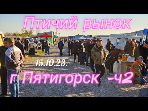 Видео: Голуби цены Птичий рынок г Пятигорск-ч2