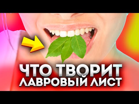 Видео: Принимаю и исцеляюсь! Как сильно влияет лавровый лист на организм человека. Запомни один раз