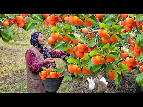 Видео: Вкусно и просто! 🍁 Как в деревне сушат хурму на зиму