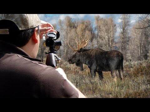 Видео: С чем и на что можно охотиться с января 2021 года.