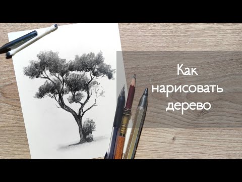 Видео: УРОК 3 - КАК НАРИСОВАТЬ ДЕРЕВО | Нарисовать пушистое дерево  | рисунок шаг за шагом!