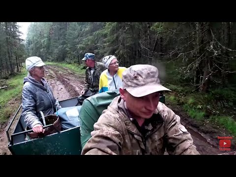 Видео: Даже не знаю чтобы я делал без КАРАКАТА! // Рыбалка рагатками на таёжной речке. Грибы/Ягоды/Отдых.