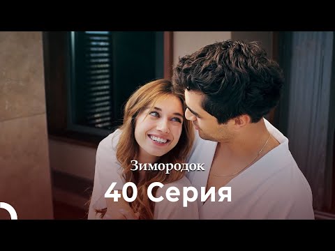 Видео: Зимородок 40 Cерия (Русский дубляж) (4K)