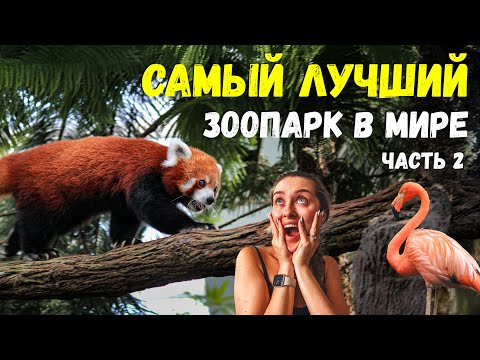 Видео: ЗООПАРК СИНГАПУРА | Часть 2-3 из 4: Bird Paradise и River Wonders