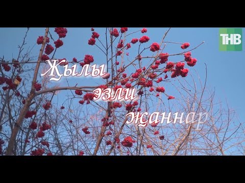 Видео: Җылы эзли җаннар - 2 серия