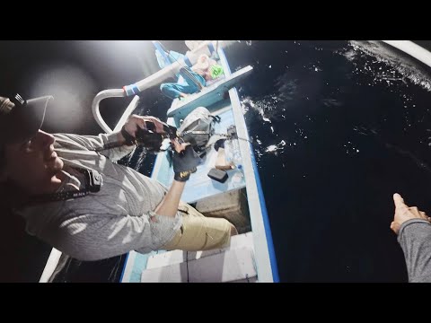 Видео: Ловим ночью и днём ради этой рыбы┃Джиггинг на Бали