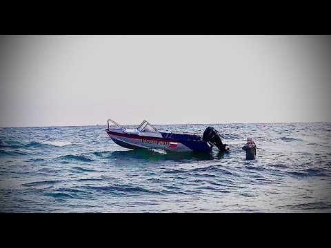 Видео: НЕ ДЛЯ СЛАБОНЕРВНЫХ ЕЛЕ УНЕСЛИ НОГИ! БЕШЕНЫЙ НОЧНОЙ КЛЕВ!