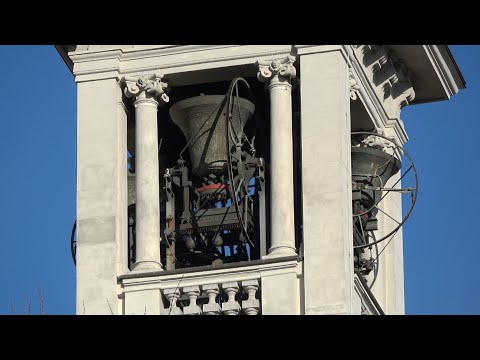 Видео: Величественный концерт колоколов в Веролануова во время Вербного воскресенья