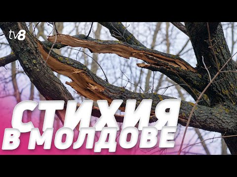 Видео: Стихия в Молдове. Порывистый ветер нанес ущерб по всей стране