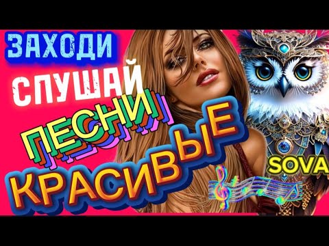 Видео: 🦉ЛУЧШИЙ СБОРНИК ДВОРОВЫХ  ПЕСЕН  ЗАХОДИ  СЛУШАЙ SOVA