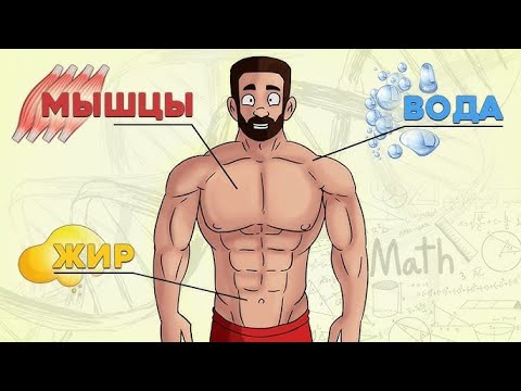 Видео: Жиросжигание и Безопасный % жира для М и Ж от Андрея Замятина и Стефана Диаза
