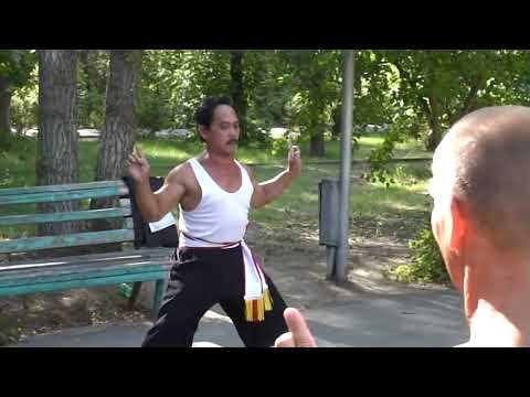 Видео: Мой учитель по Хонг За Куен Мастер Лам Тхань Кхань.фрагмент семинара Волгоград 2007г.