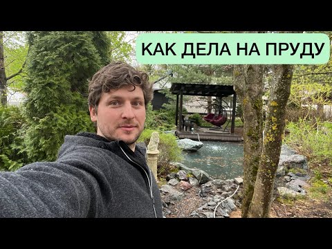 Видео: МОИ ПРУДЫ И ФИЛЬТРЫ