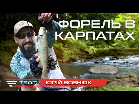 Видео: ДИКА ФОРЕЛЬ КАРПАТ. Як знайти та на що ловити рибу в гірській річці